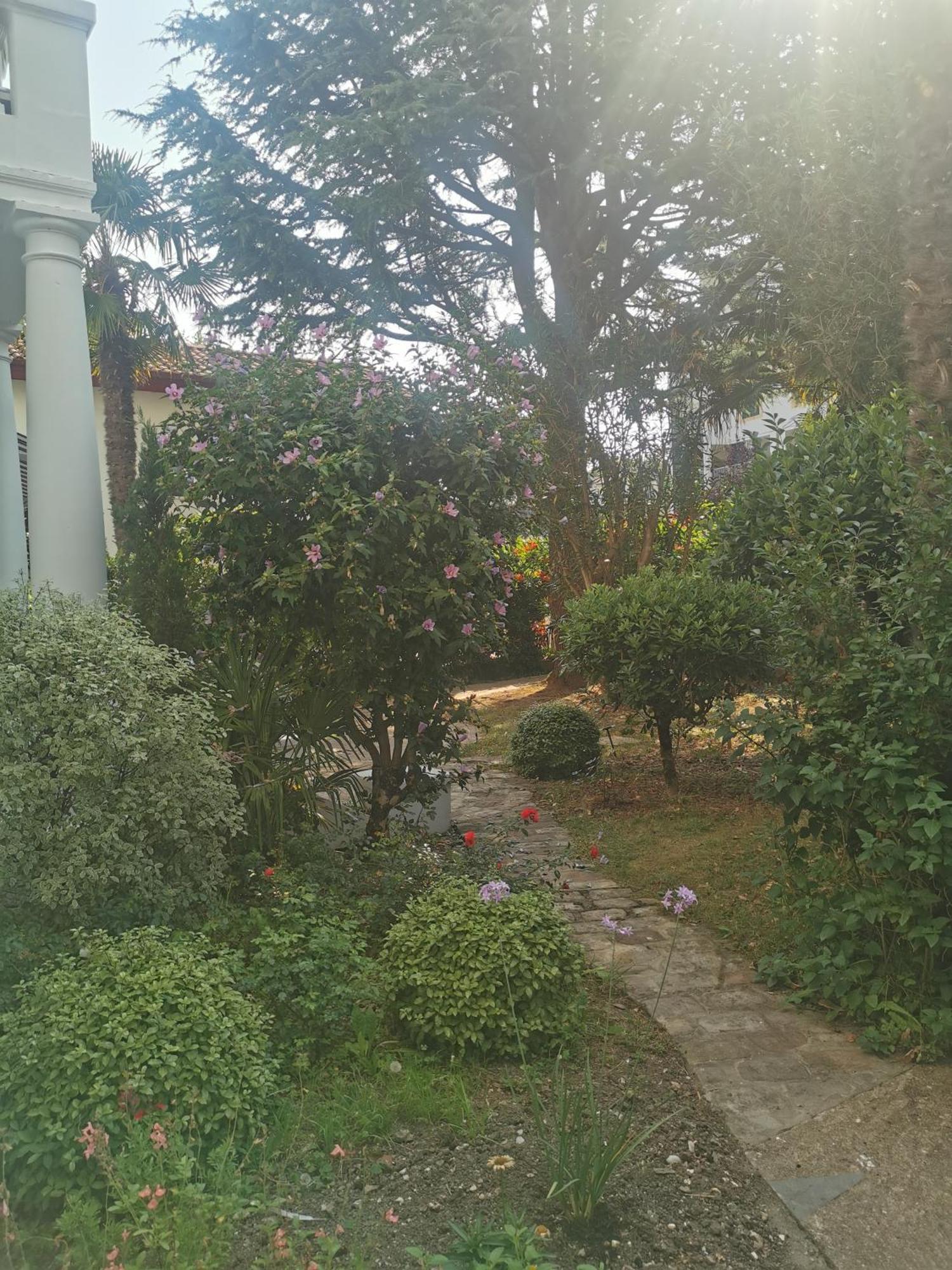 Villa Eche-Pherdea แซ็งฌองเดอลูซ ภายนอก รูปภาพ
